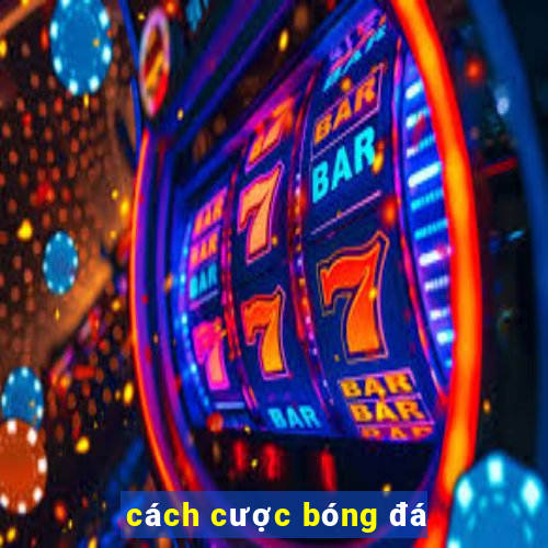 cách cược bóng đá