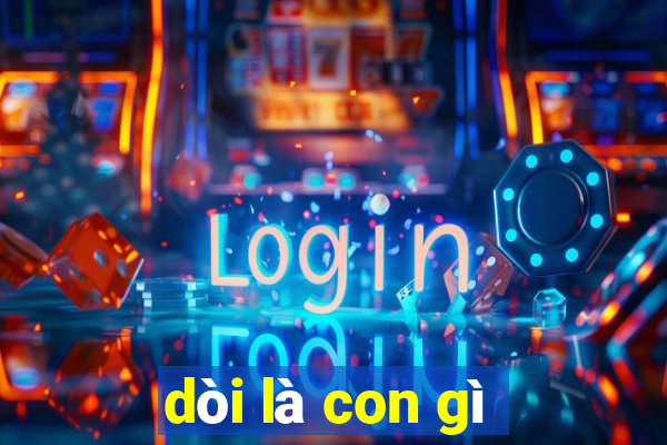 dòi là con gì