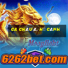 ca châu á, hạ cánh