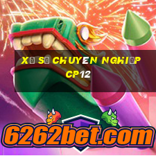 Xổ số chuyên nghiệp cp12