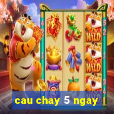 cau chay 5 ngay