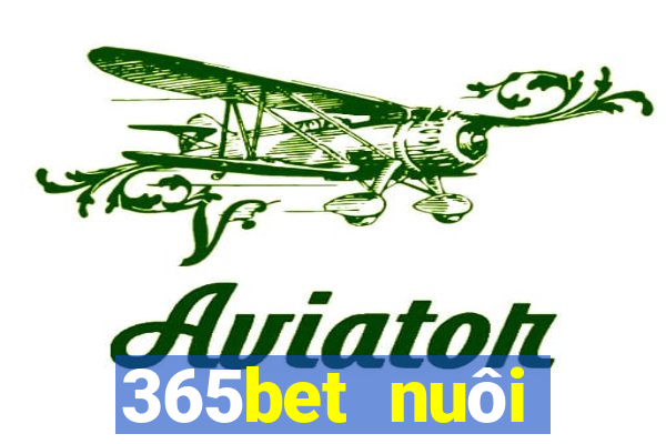 365bet nuôi dưỡng Châu Á