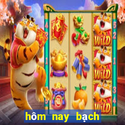 hôm nay bạch thủ đề con gì