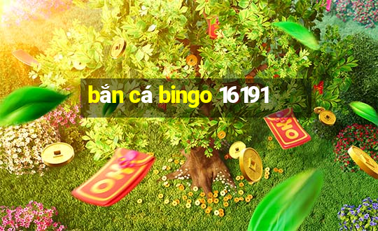 bắn cá bingo 16191