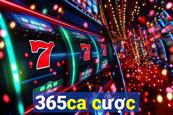 365ca cược