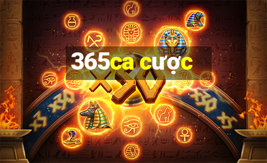 365ca cược