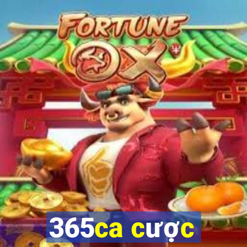 365ca cược