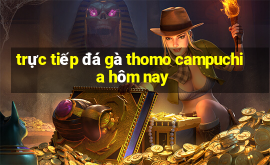 trực tiếp đá gà thomo campuchia hôm nay