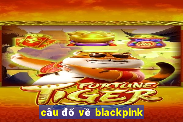 câu đố về blackpink