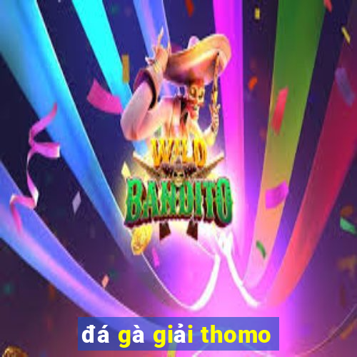 đá gà giải thomo