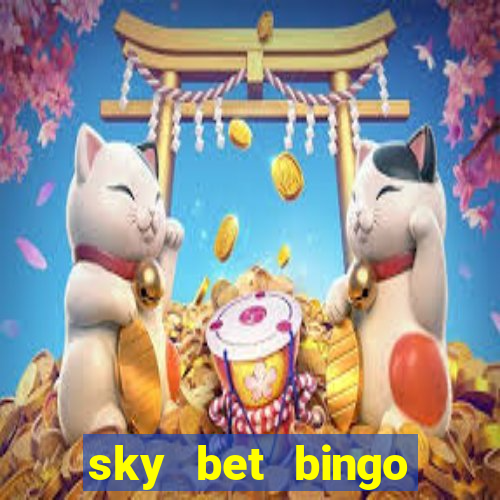 sky bet bingo bonus codes