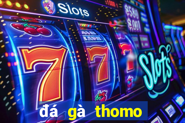 đá gà thomo trực tiếp trong ngày