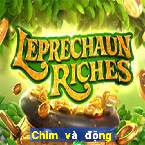 Chim và động vật ios