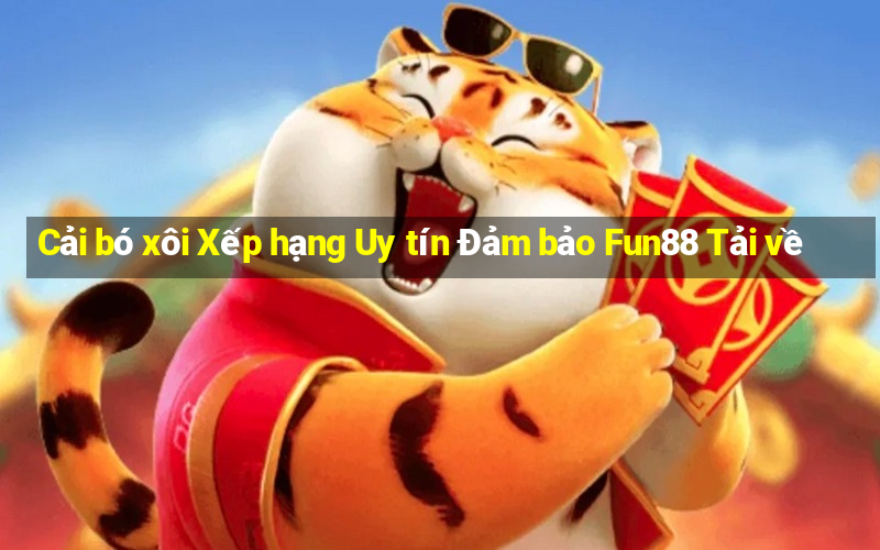 Cải bó xôi Xếp hạng Uy tín Đảm bảo Fun88 Tải về