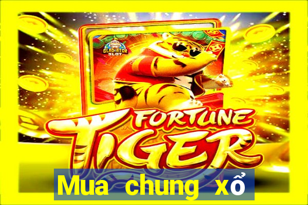 Mua chung xổ số Tỉnh Quảng Bình