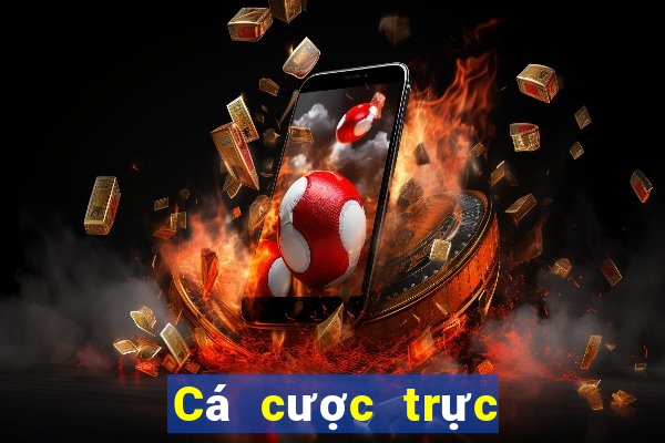 Cá cược trực tuyến 179bet