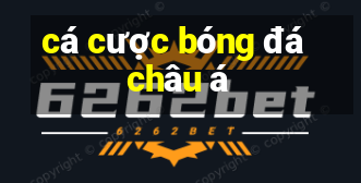 cá cược bóng đá châu á