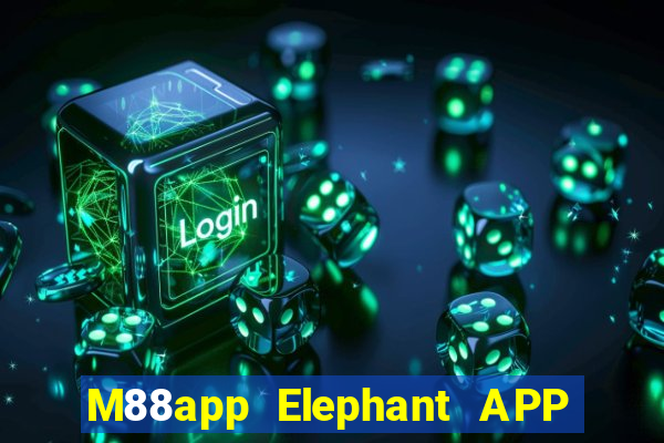 M88app Elephant APP Phiên bản mới Tải về