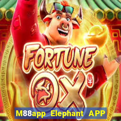 M88app Elephant APP Phiên bản mới Tải về