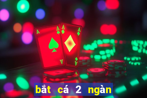 bắt cá 2 ngàn pháo bắt cá