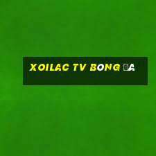 xoilac tv bóng đá