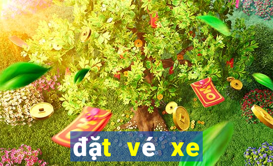 đặt vé xe phương trang