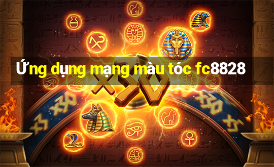 Ứng dụng mạng màu tóc fc8828