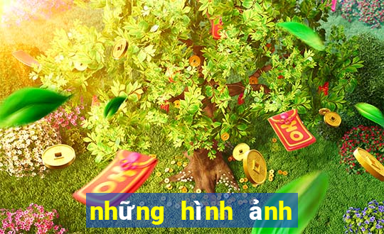 những hình ảnh gacha club