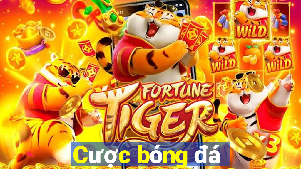 Cược bóng đá