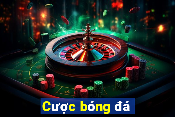 Cược bóng đá