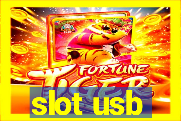 slot usb