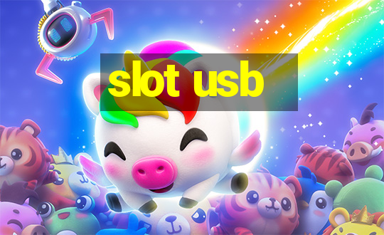 slot usb