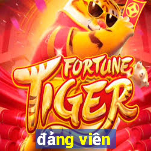 đảng viên