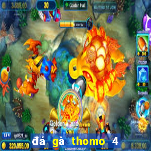 đá gà thomo 4 9 2024