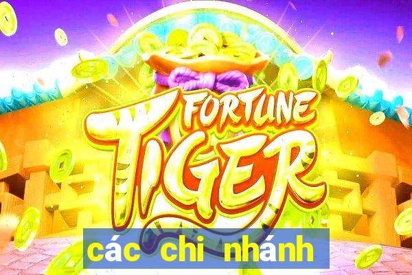 các chi nhánh the vape club