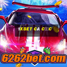 1xbet cá cược