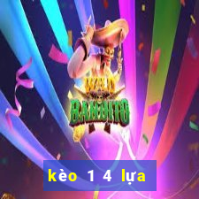 kèo 1 4 lựa là sao