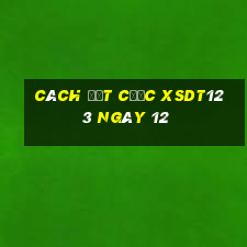 Cách đặt cược XSDT123 ngày 12