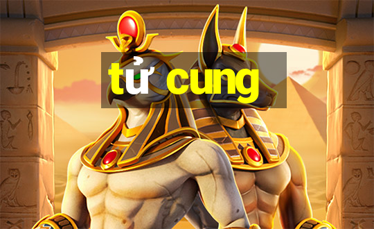 tử cung