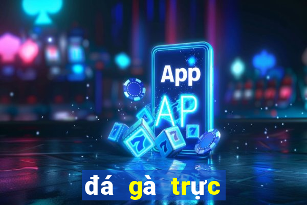 đá gà trực tiếp bình luận viên mộc bài