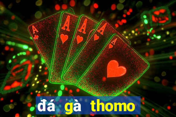 đá gà thomo trực tiếp hôm