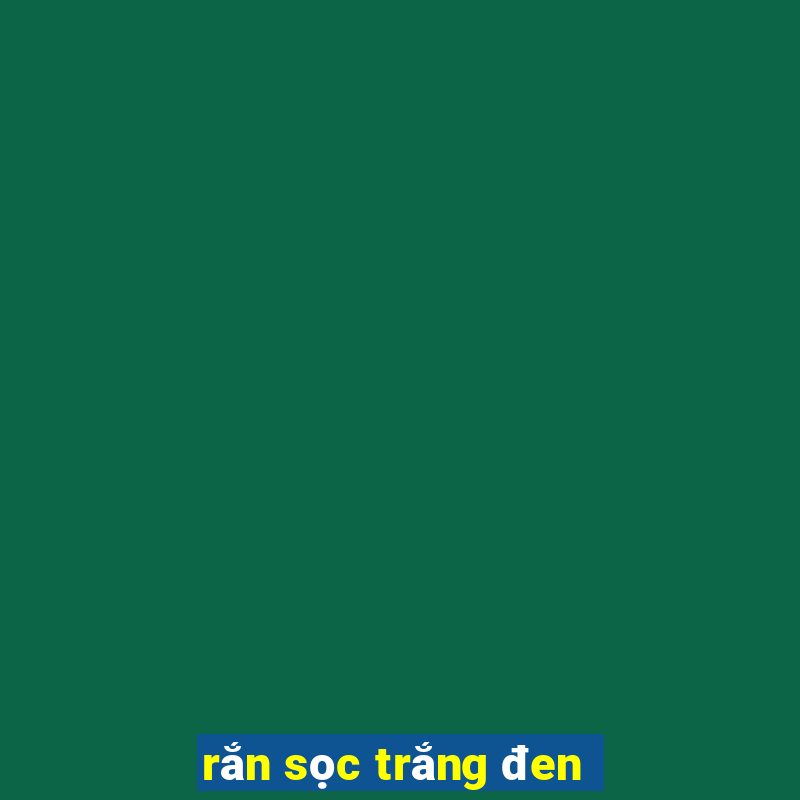 rắn sọc trắng đen