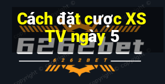 Cách đặt cược XSTV ngày 5