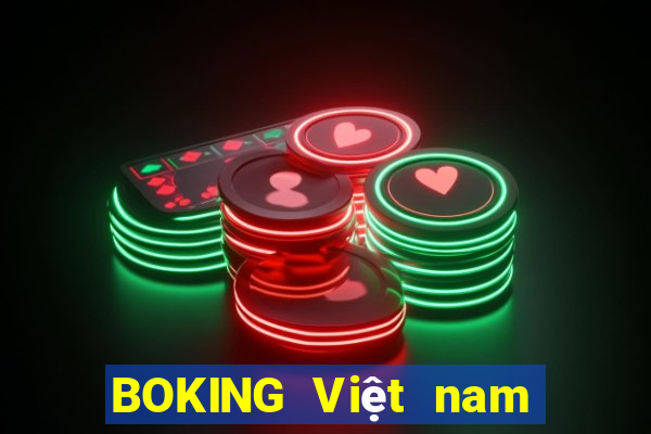 BOKING Việt nam 4975 Tải về