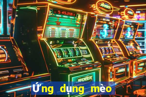 Ứng dụng mèo may mắn sw