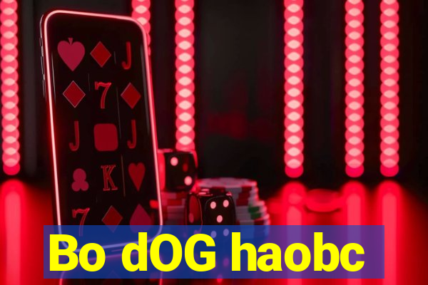 Bo dOG haobc