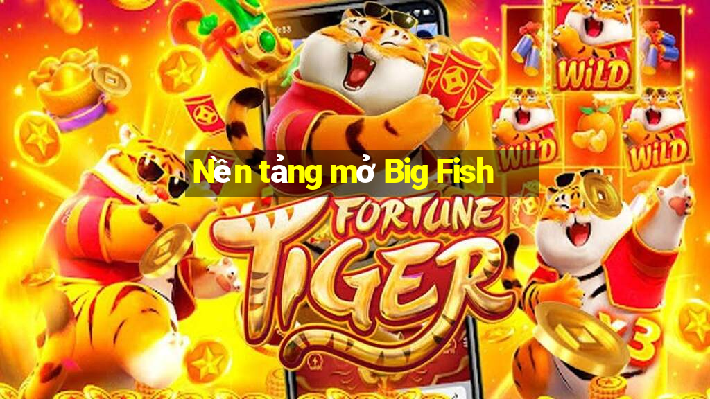 Nền tảng mở Big Fish