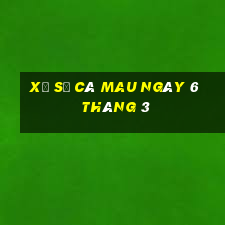 xổ số cà mau ngày 6 tháng 3