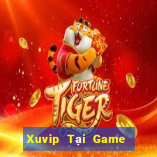 Xuvip Tại Game Bài Đổi The