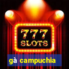 gà campuchia